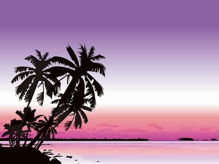 700x525 Tropical Beach Vector Illustration