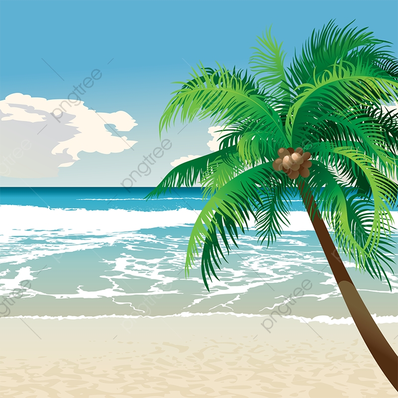 800x800 Tropical Beach With Coconut Tree Vector Background, Green, Beach