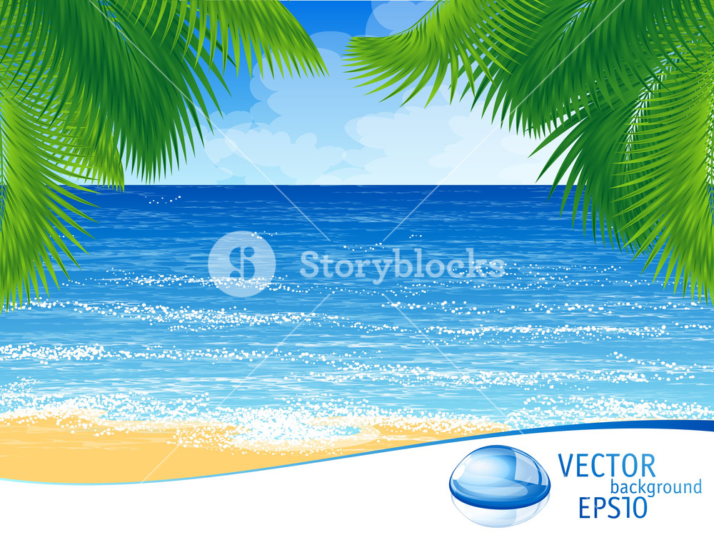 1000x749 Tropical Beach Vector Background Royalty Free Stock Image