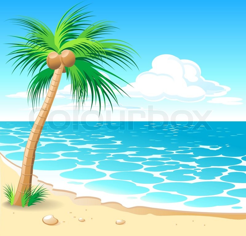 800x768 Tropical Beach Vector Stock Vector Colourbox