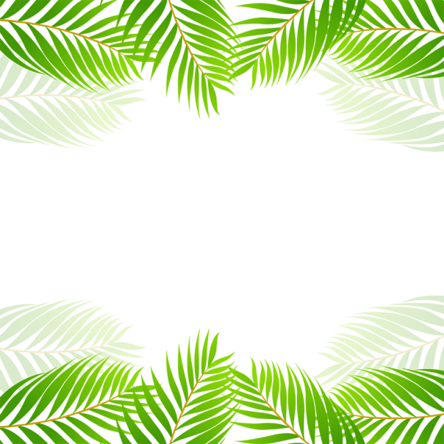 Tropical Border Vector at Vectorified.com | Collection of Tropical