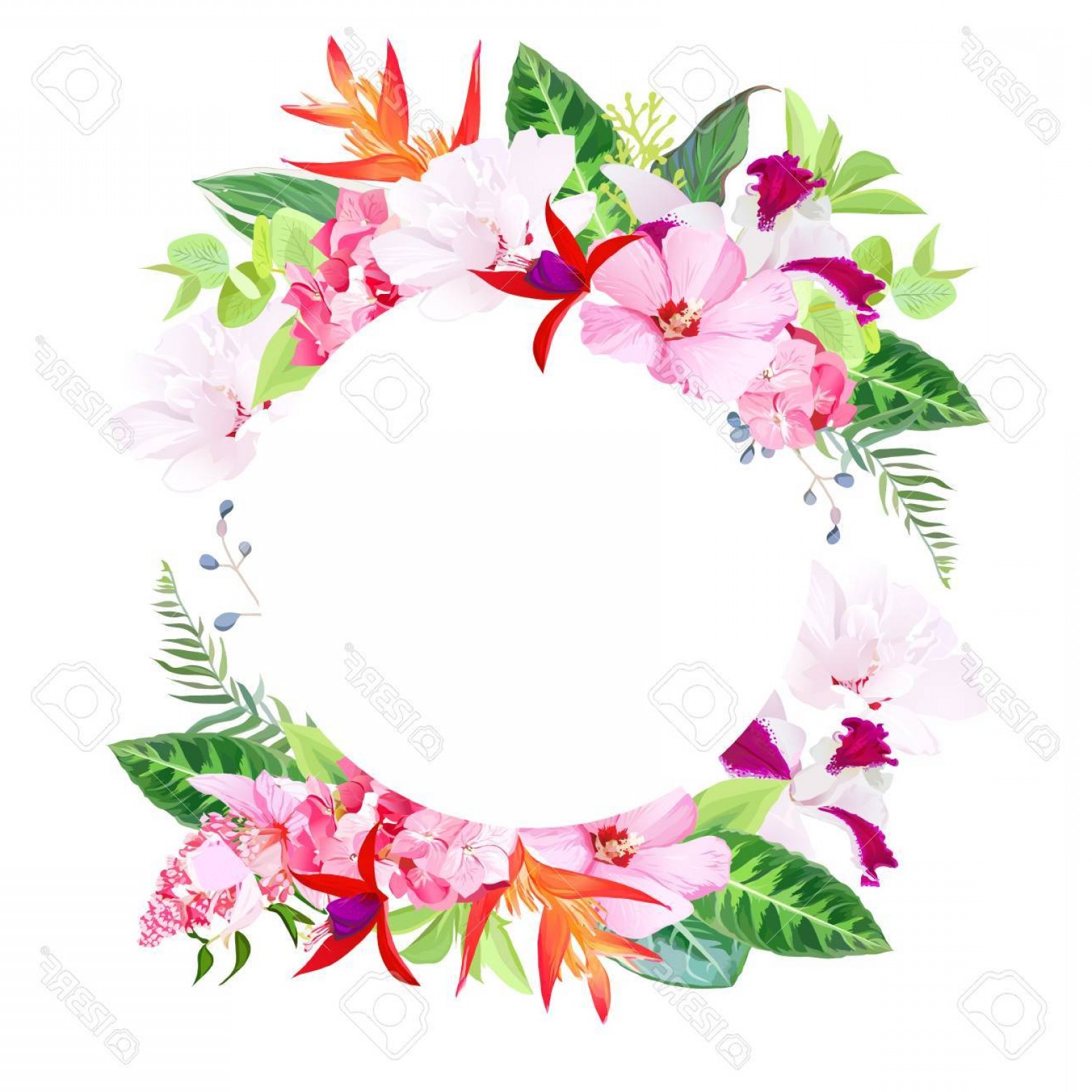 1560x1560 Party Flower Border Vector Catchsplace