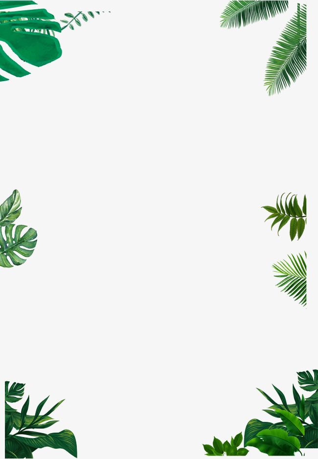 650x939 Simple Border, Green, Vector Border Png Transparent Clipart Image
