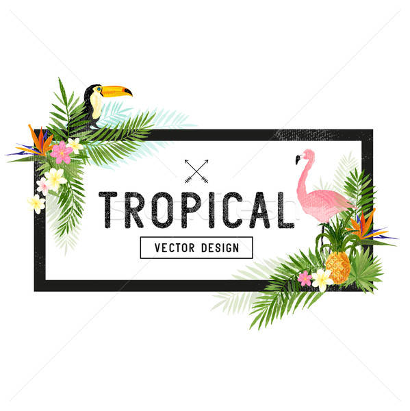 599x600 Tropical Border Design Vector Illustration James Thew