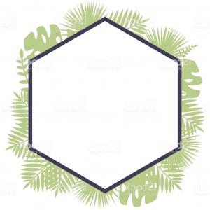 300x300 A Border Polygonal Frame With Tropical Leaves Behind Simple Vector