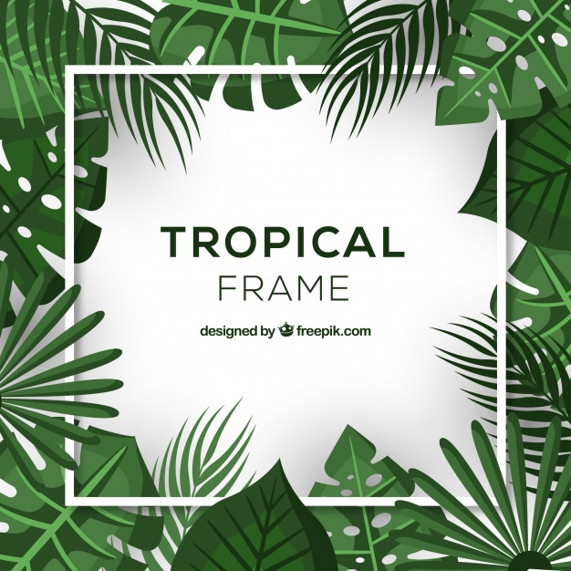 626x626 Tropical Frame Vectors, Photos And Free Download