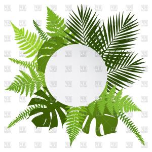 300x300 Tropical Leaves Round Frame Vector Clipart Createmepink