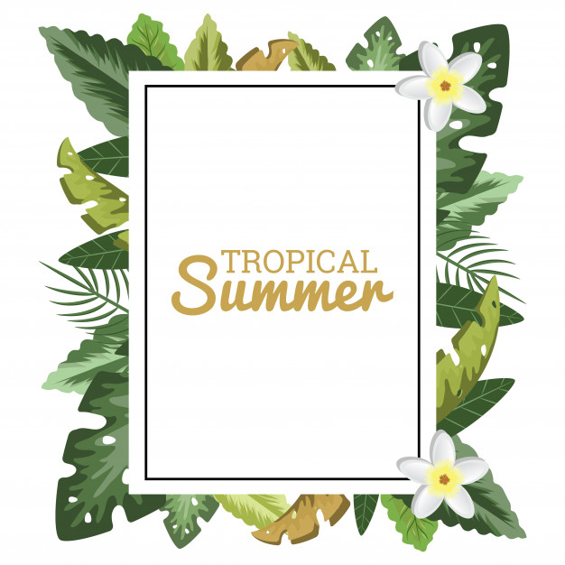 626x626 Tropical Floral Border Frame Vector Premium Download