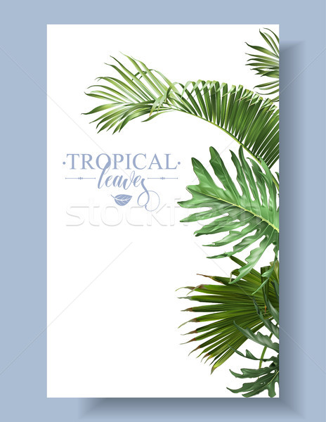 464x600 Tropical Leaf Border Vector Illustration Anastasiia Savina