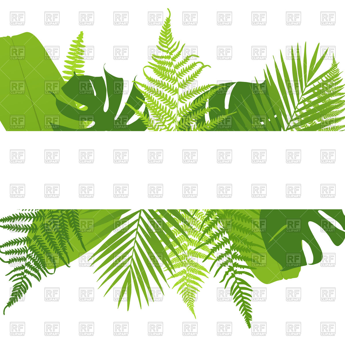 1200x1200 Banner With Ferns Tropical Leaves Frame Vector Image Of Borders