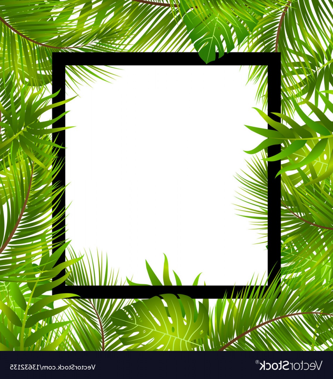 Download Tropical Border Vector at Vectorified.com | Collection of ...