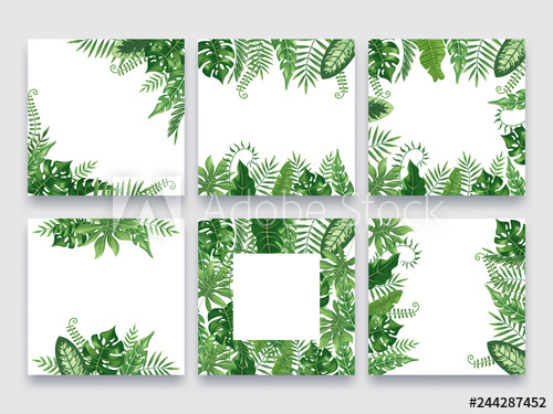 500x375 Exotic Leaves Frame Tropical Leaf Border, Nature Summer Frames