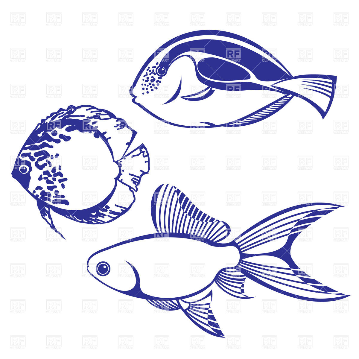 Tropical Fish Vector
