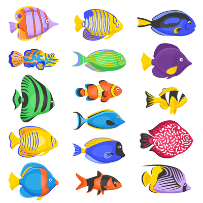400x400 Page Tropical Fish On Curated Vector Illustrations, Stock
