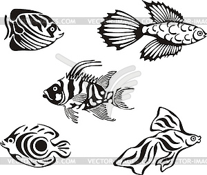 300x254 Set Of Black And White Tropical Fish
