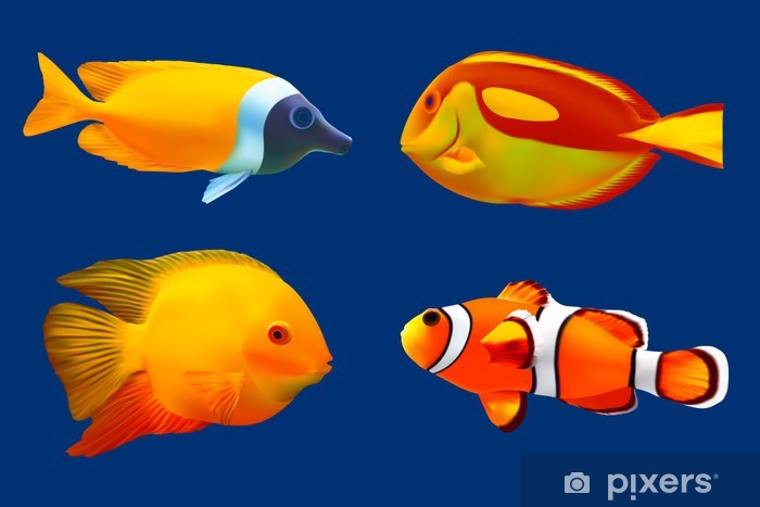 700x467 Set Of Tropical Fish Vector Illustration Wall Mural Pixers