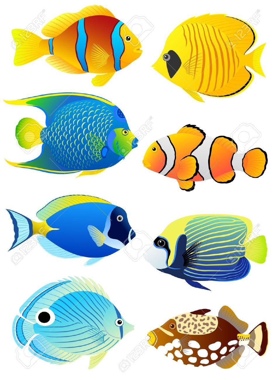 935x1300 Stock Vector Vbs In Tropical Fish Pictures, Fish