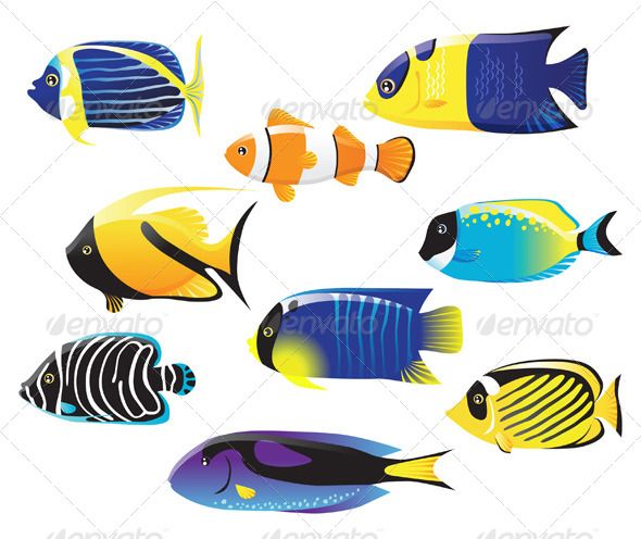 590x496 Tropical Fish Rockstone Painting Fish Vector, Tropical Fish