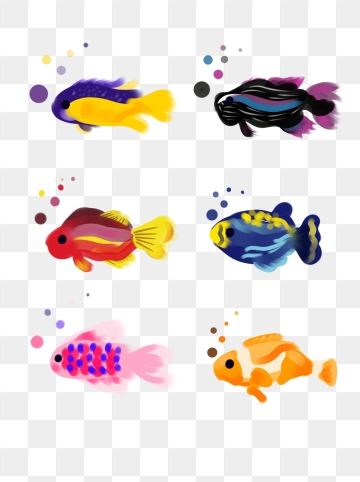 360x482 Tropical Fish Png, Vector, And Clipart With Transparent