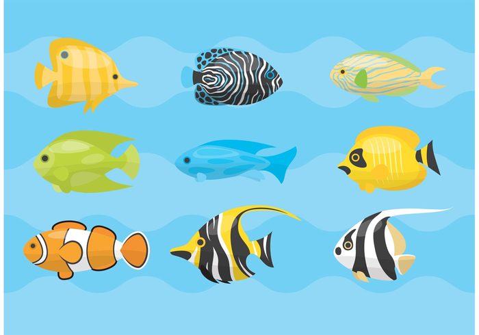 700x490 Tropical Fish Vectors Free Vectors Ui Download