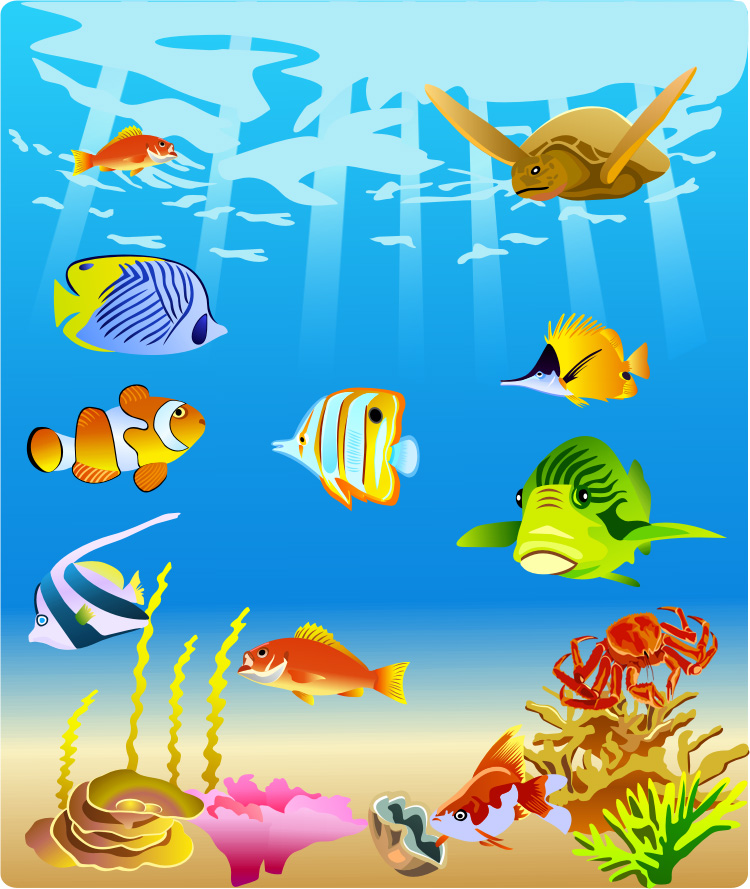 750x889 Tropical Fish Vector Collection