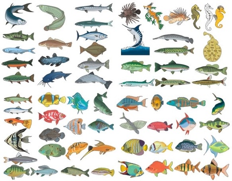 470x368 Tropical Fish Free Vector Download