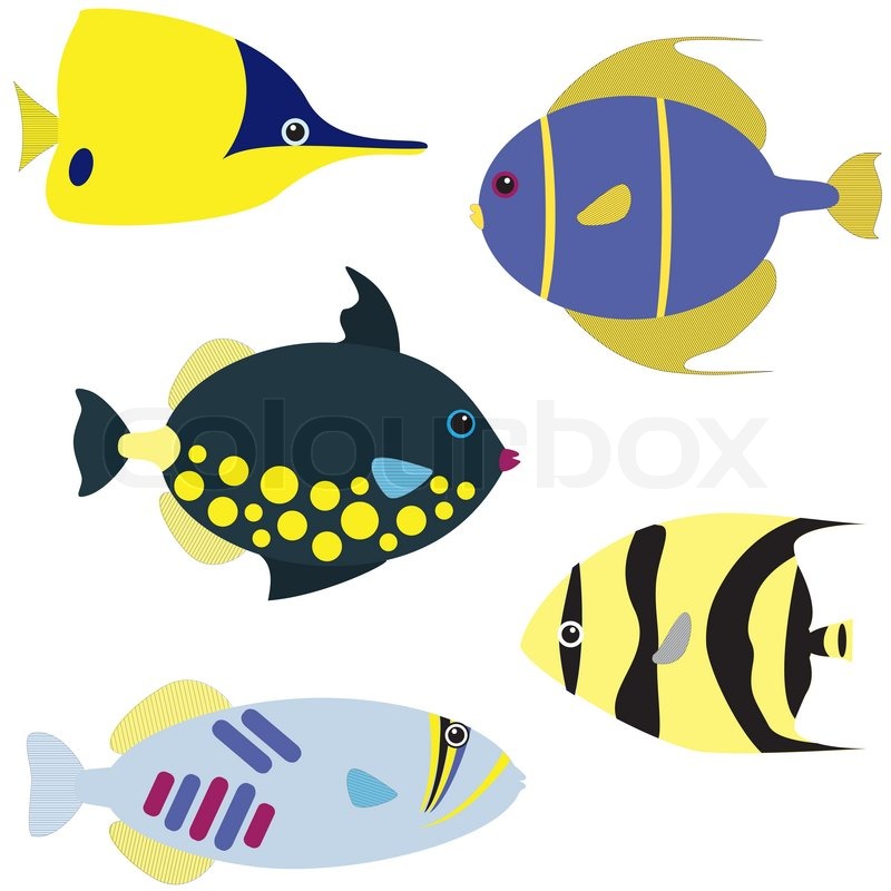 800x800 Tropical Fish Vector Set Stock Vector Colourbox