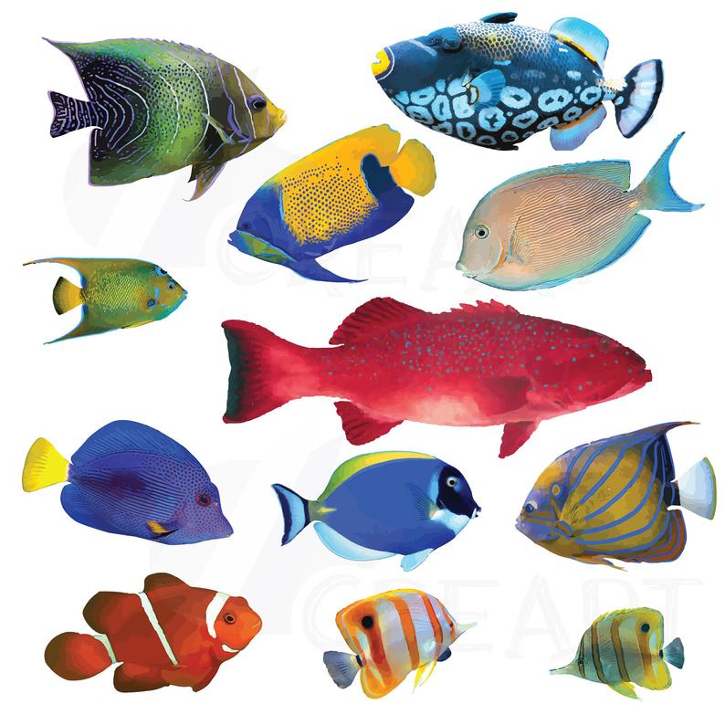 794x794 Watecolor Tropical Fish Clip Art Tropical Fish Vectors Etsy