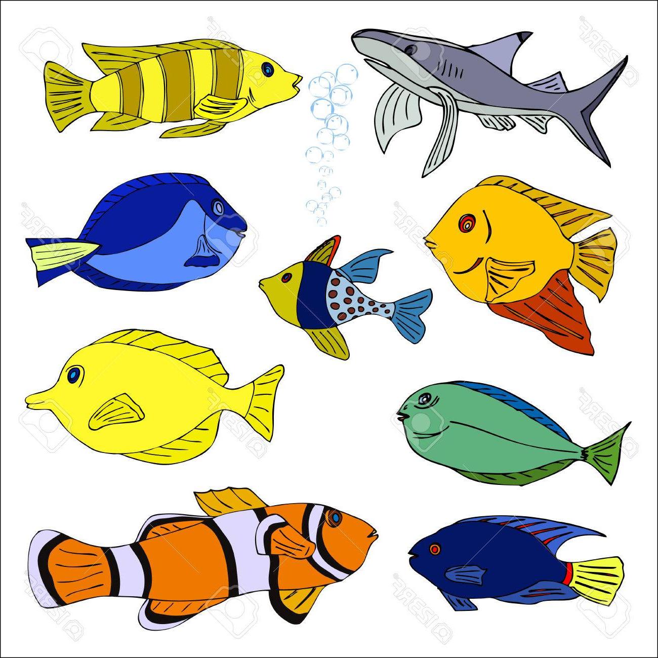 1300x1300 Best Free Tropical Fish Artwork Vector Design Free Vector Art
