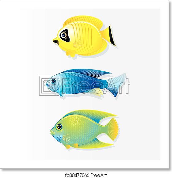 561x581 Free Art Print Of Cartoon Coral Reef Fish Vector Image Cartoon