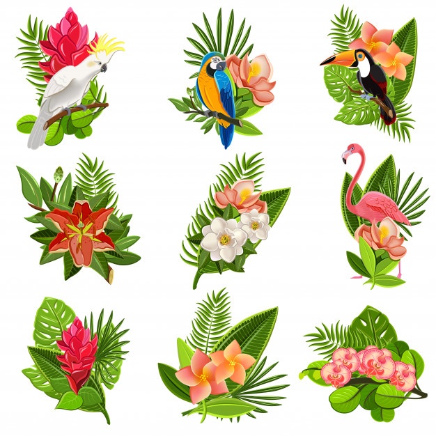 Tropical Flower Vector