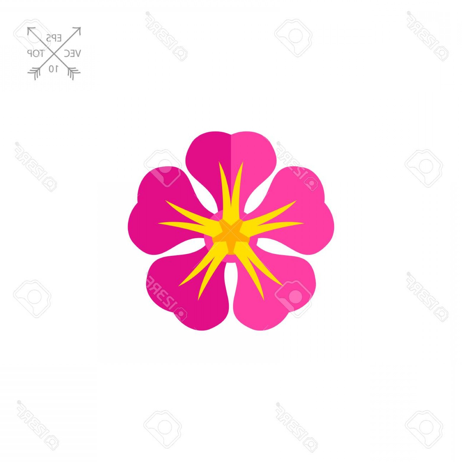 Photostock Vector Vector Icon Of Pink Frangipani Hawaiian Flower 1560x1560 Photostock Vector Vector Icon Of Pink Frangipani Hawaiian Flower