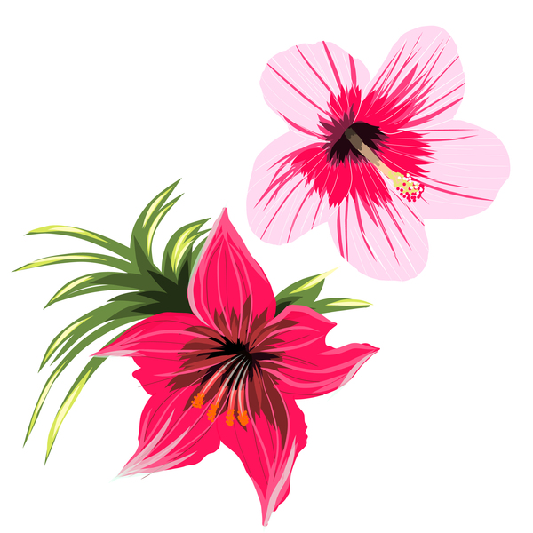 Red With Pink Tropical Flowers Vector Free Download 600x600 Red With Pink Tropical Flowers Vector Free Download