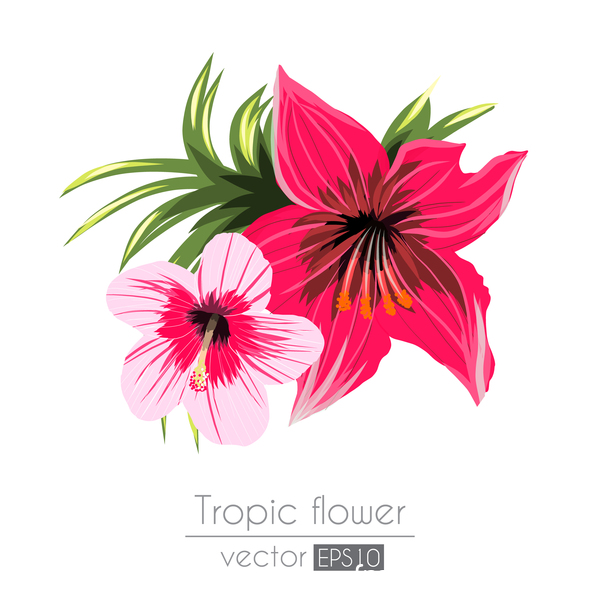 Red With Pink Tropical Flowers Vector Free Download 600x600 Red With Pink Tropical Flowers Vector Free Download