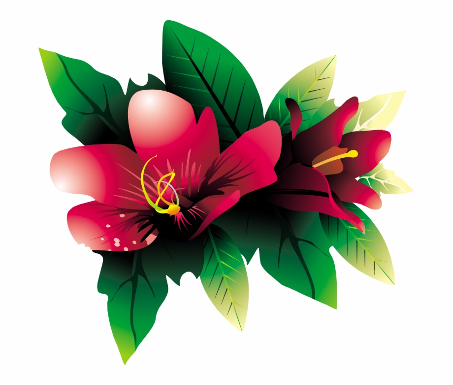 Tropical Flower Hq Png 920x781 Tropical Flower Hq Png