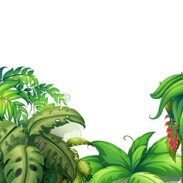 Tropical Flower Png, Vector, And Clipart With Transparent 360x360 Tropical Flower Png, Vector, And Clipart With Transparent