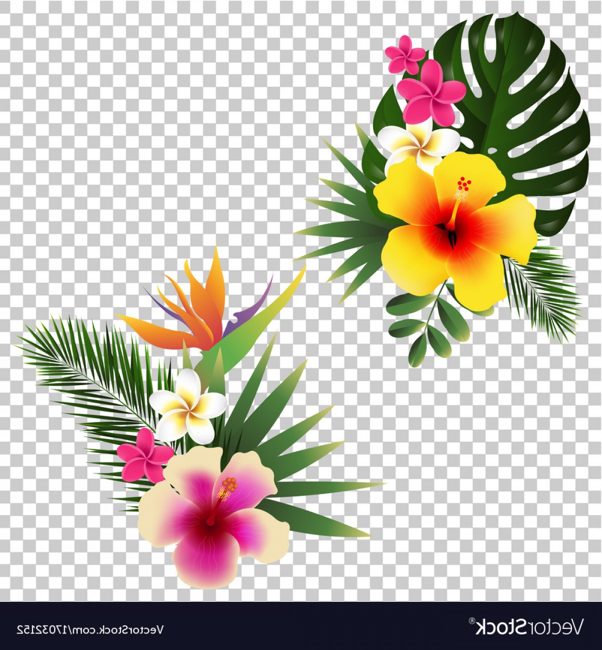 Tropical Flower Set Transparent Background Vector Geekchicpro 1200x1296 Tropical Flower Set Transparent Background Vector Geekchicpro