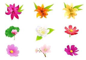 Tropical Flowers Free Vector Art 286x200 Tropical Flowers Free Vector Art