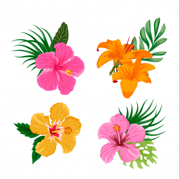 Tropical Flowers Vector Free Download 626x626 Tropical Flowers Vector Free Download