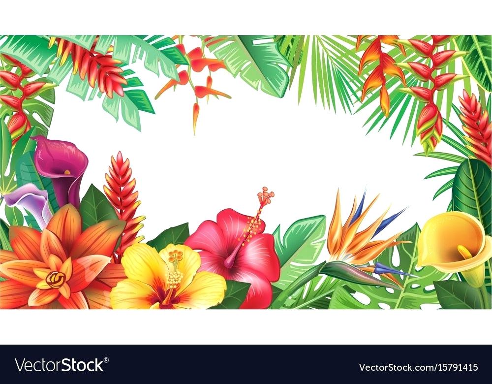 Tropical Flowers Vector Watercolor 1000x780 Tropical Flowers Vector Watercolor