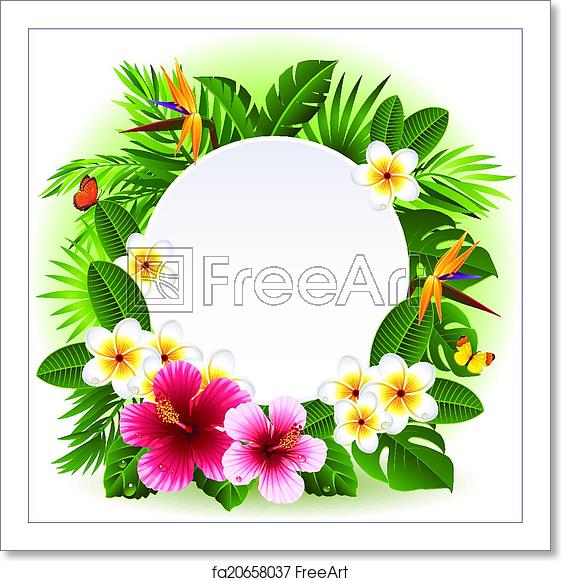 Free Art Print Of Tropical Flowers Vector Illustration 561x581 Free Art Print Of Tropical Flowers Vector Illustration