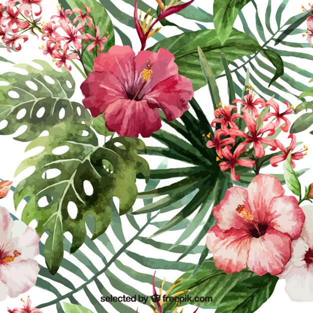 Hand Painted Tropical Flowers Vector Free Download 626x626 Hand Painted Tropical Flowers Vector Free Download