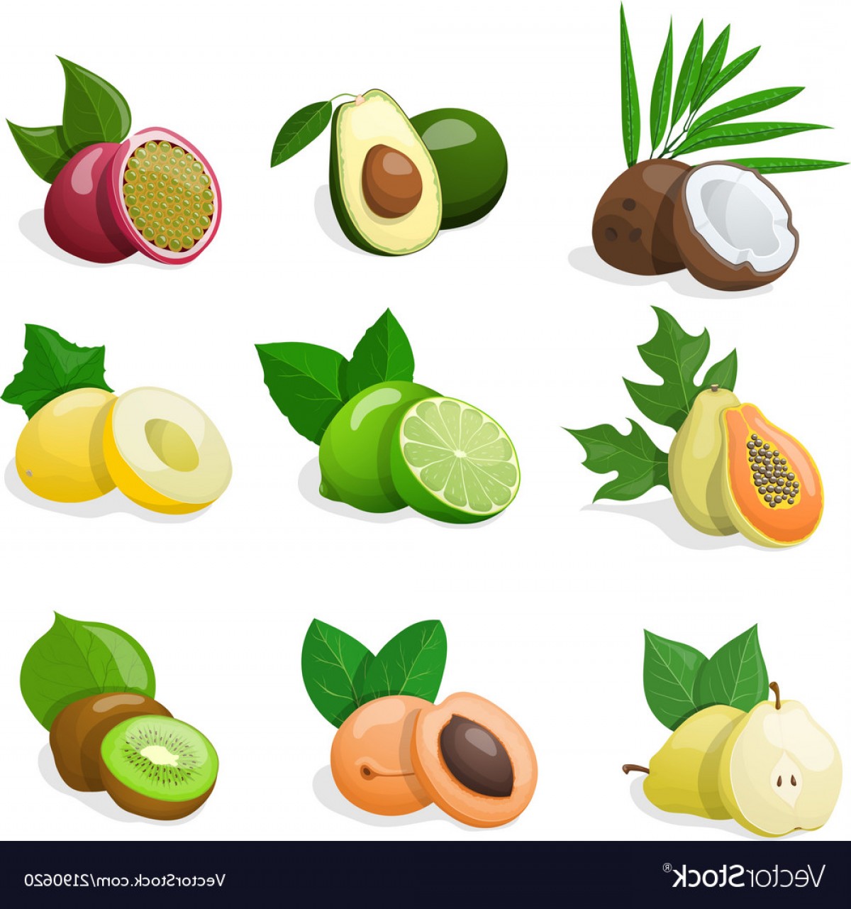1200x1281 Set Of Exotic Fruit Vector Cultracing