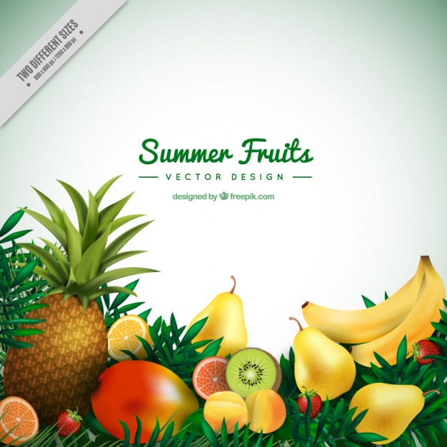 626x626 Exotic Fruits Vectors, Photos And Free Download