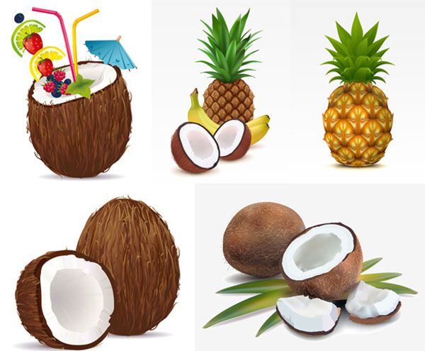 600x495 Tropical Fruit Vector Illustration Lazy Drawing Illustration