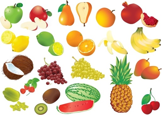 515x368 Tropical Fruit Free Vector Download