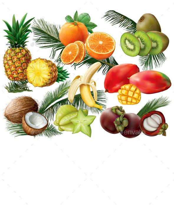 590x700 Tropical Fruit Set With Palm Leaves On White Background Vector