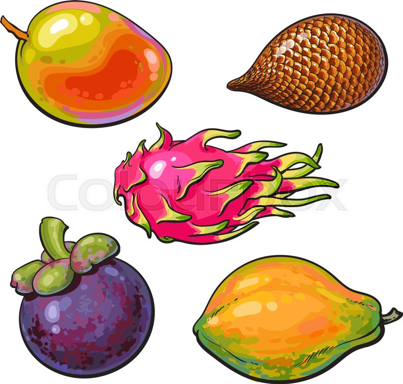 800x762 Whole Mango, Papaya, Mangosteen, Stock Vector Colourbox
