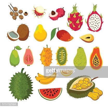 416x416 Exotic Tropical Fruits Vector Juicy And Ripe Fruit Premium Clipart