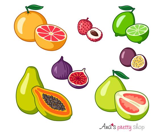 570x472 Exotic Fruits Clipart Grapefruit Clipart Lime Papaya Etsy